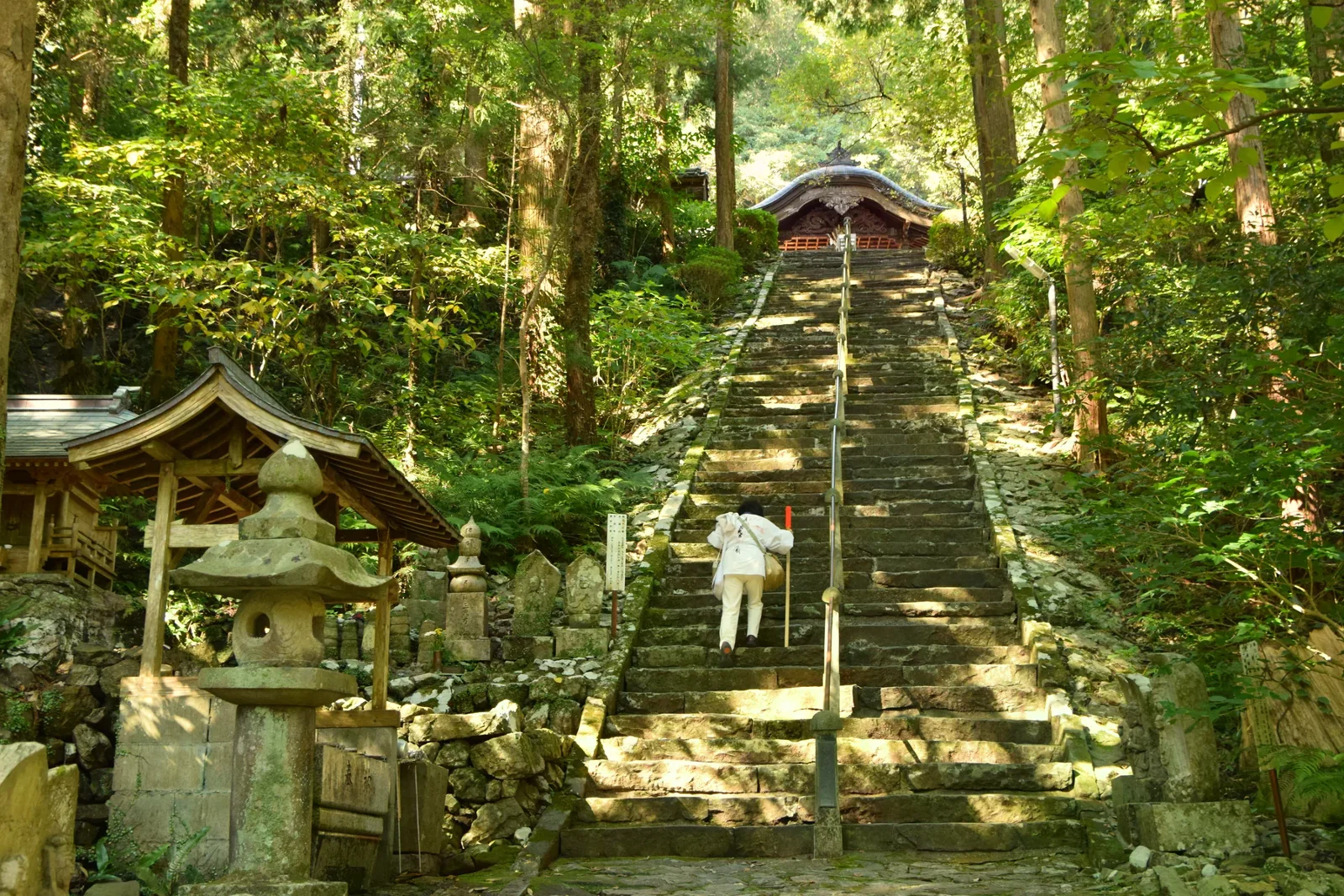 第36番青龍寺院內通往堂宇的長石階，一名穿白衣的參拜者正向上行走