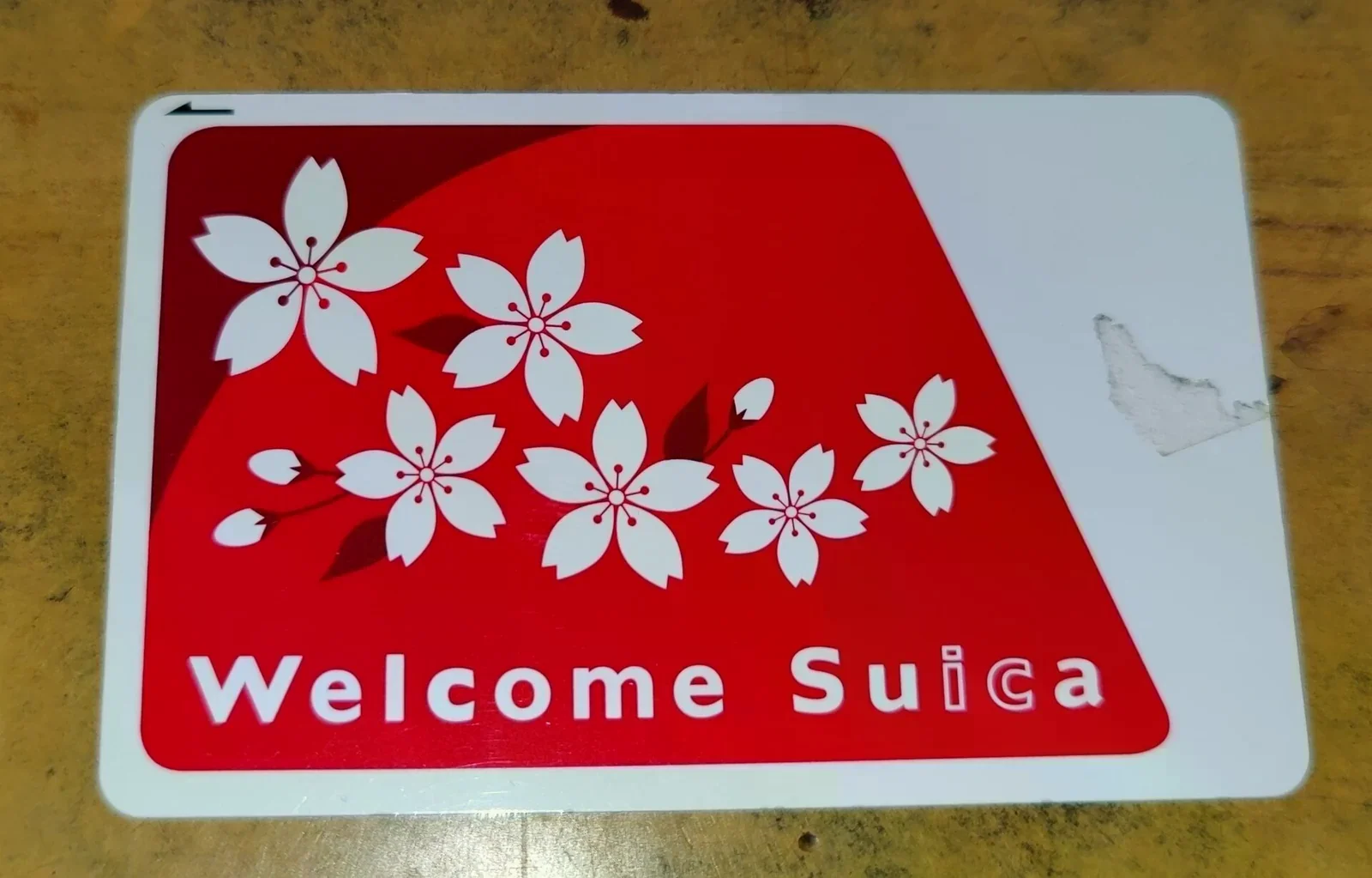 Welcome Suica 卡放在木紋桌面上，左側紅色區塊有白色櫻花圖案與 Welcome Suica 字樣