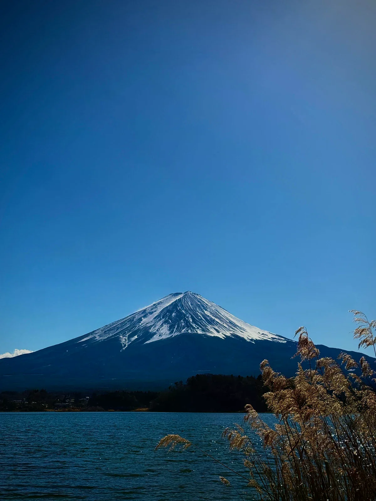 日本富士山與湖泊風景