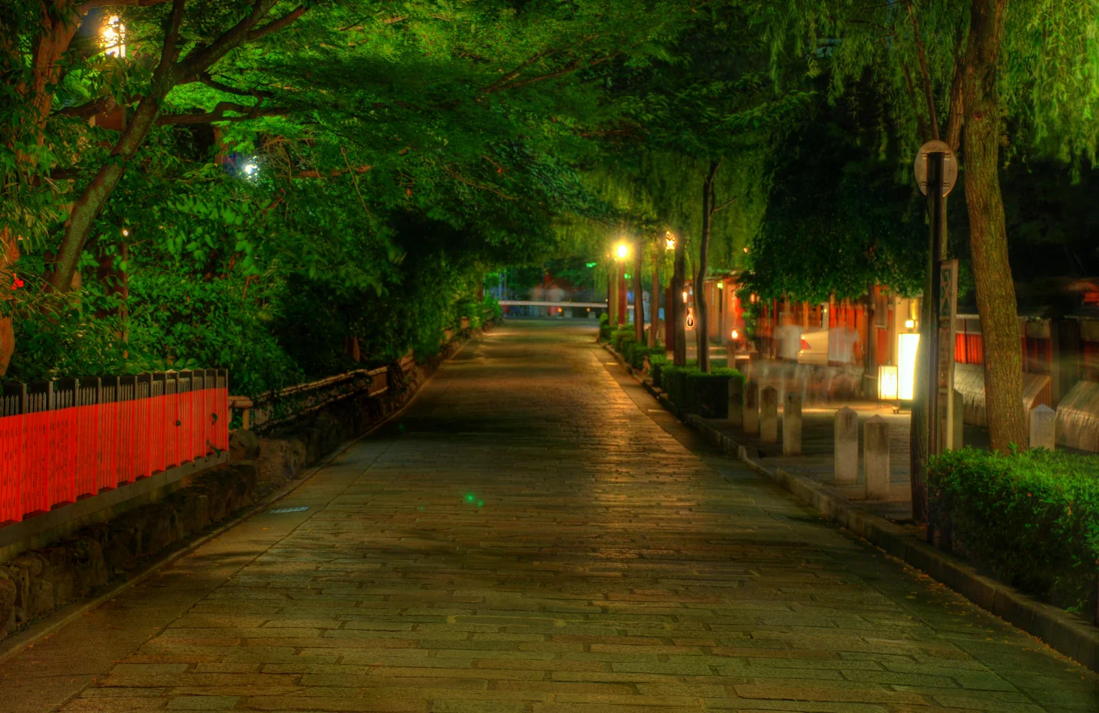祇園白川邊的樹木與石板街道