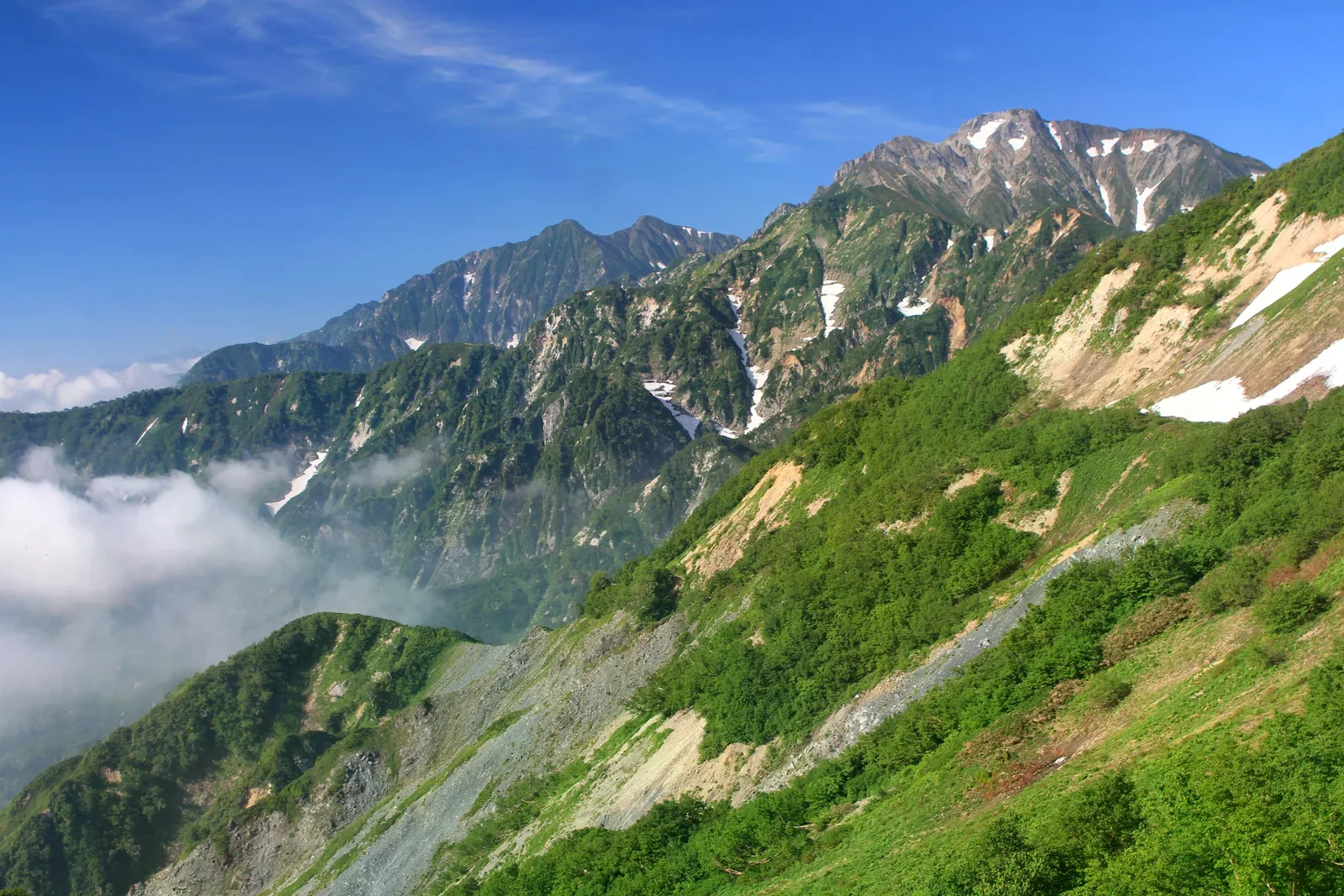 從八方尾根眺望白馬五龍岳與鹿島槍岳，2018 年夏季照片，拍攝地在植物園外