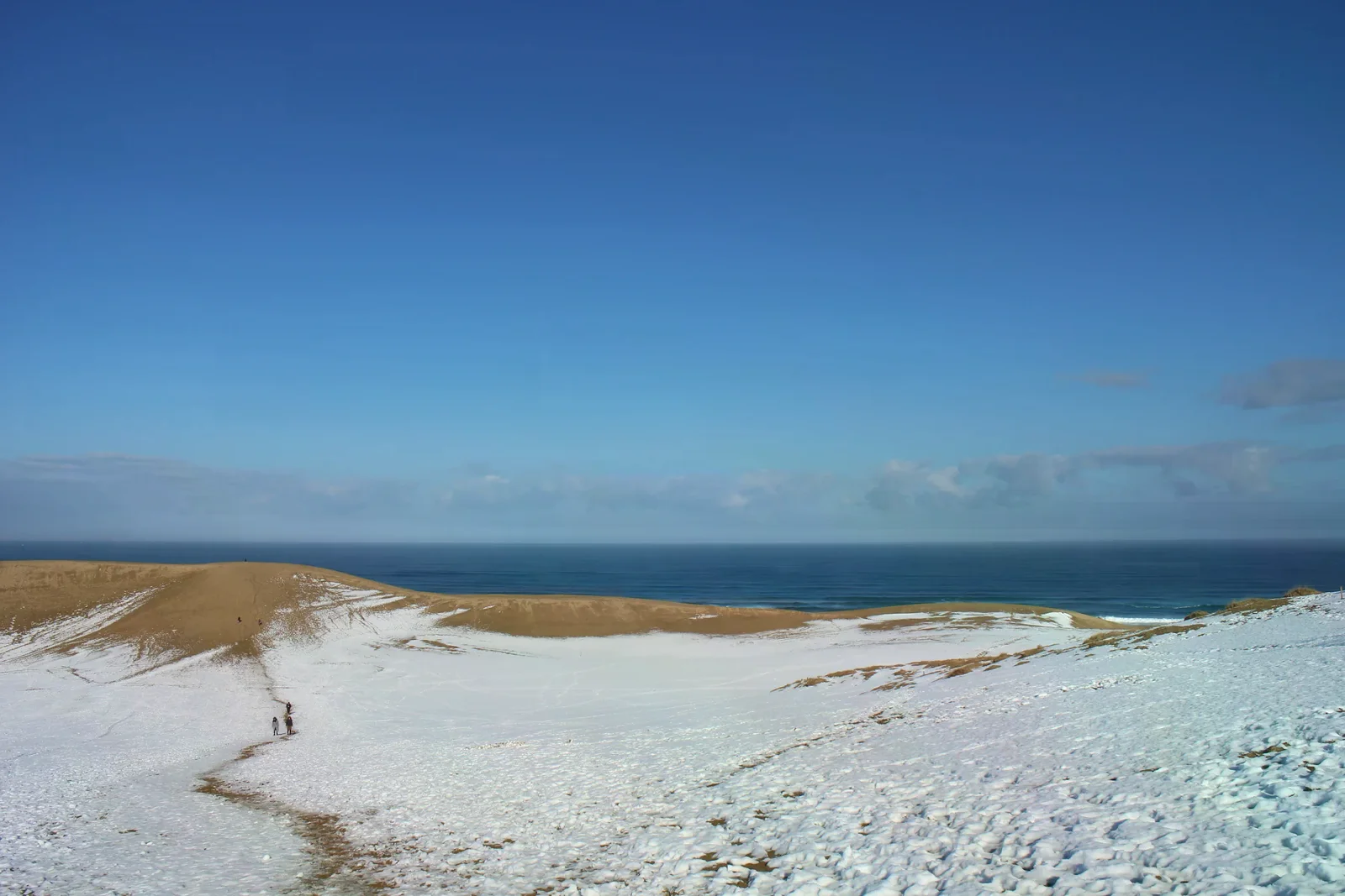 鳥取砂丘冬季景色，雪覆沙脊並延伸至日本海
