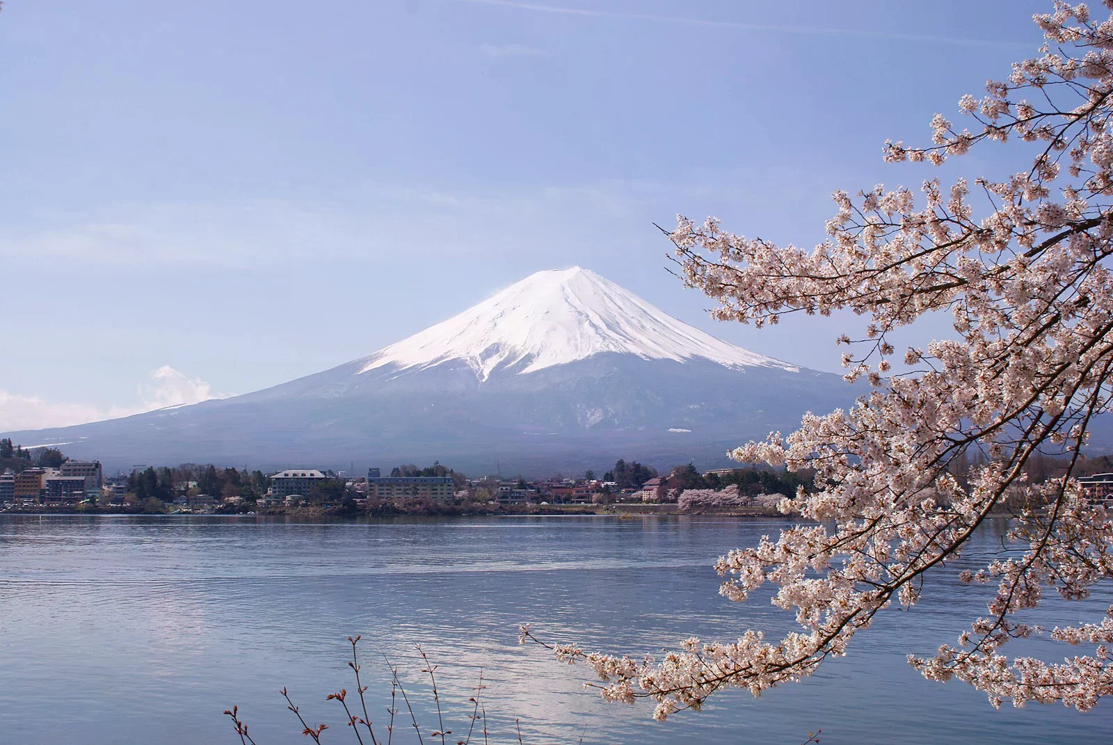河口湖畔櫻花與富士山，原圖拍攝於 2010 年春季。