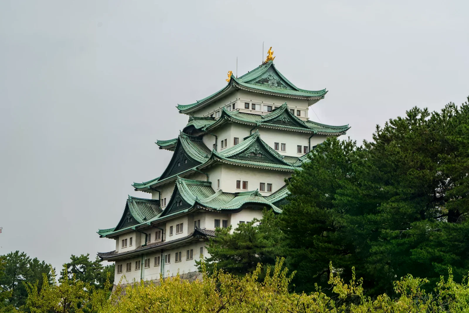 名古屋城天守外觀與周邊樹木，晴天城市觀光情境