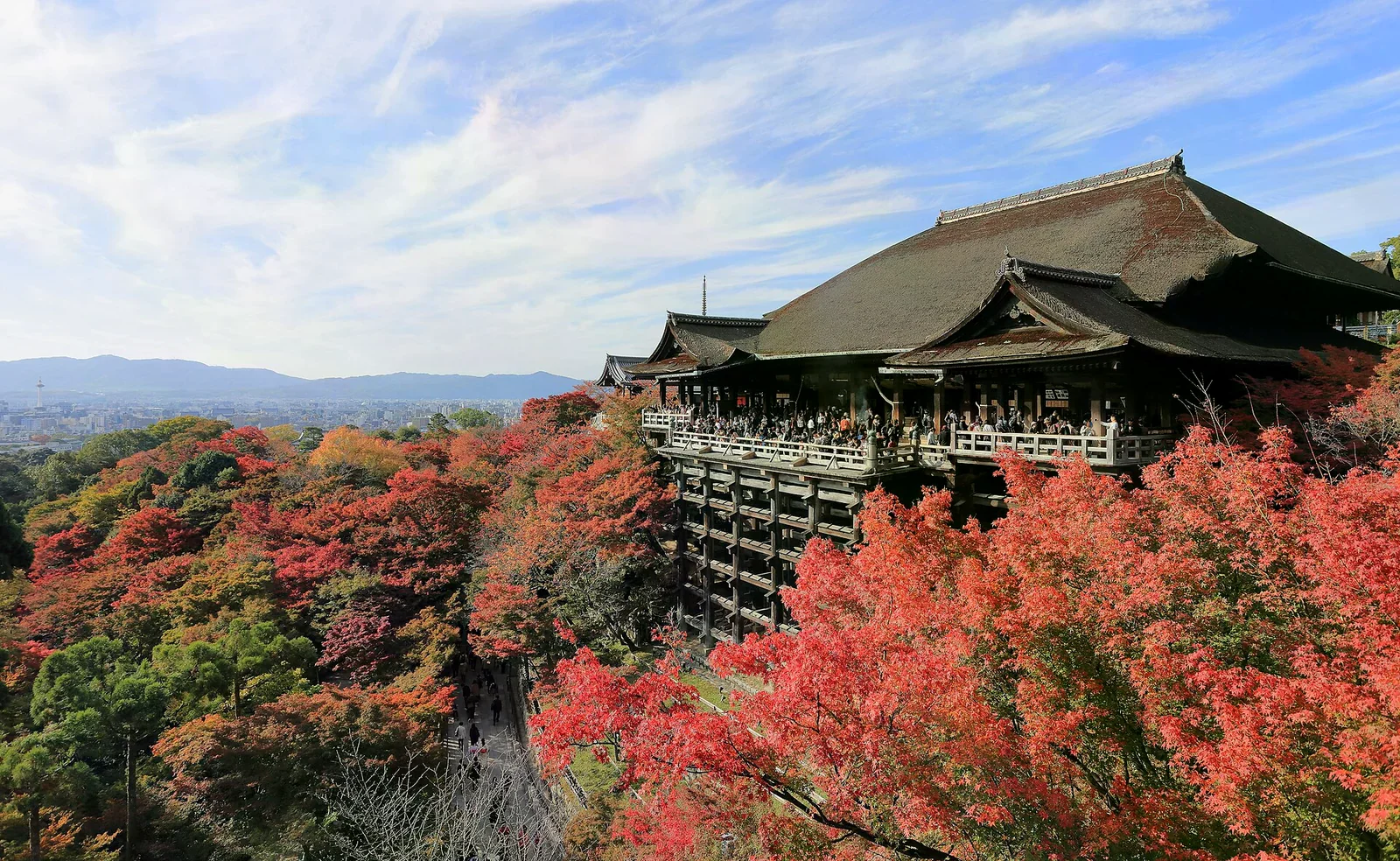 日間的清水寺本堂木造舞台懸在半山腰，周圍滿佈紅黃楓葉，遠望京都市街與山