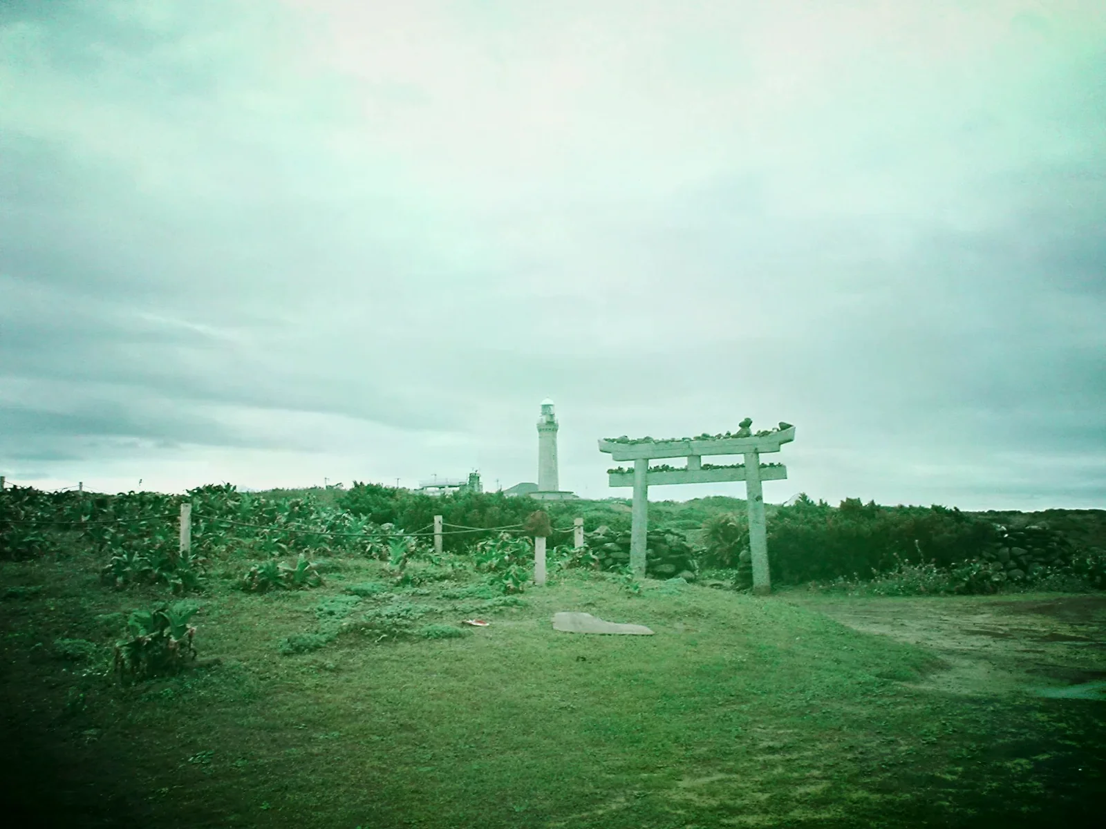 角島燈台公園草坡後方可見白色燈塔與石造鳥居