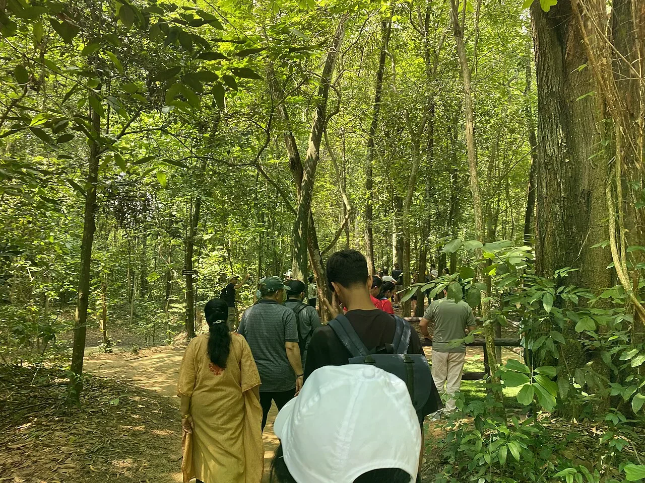 Cu Chi tunnels forest