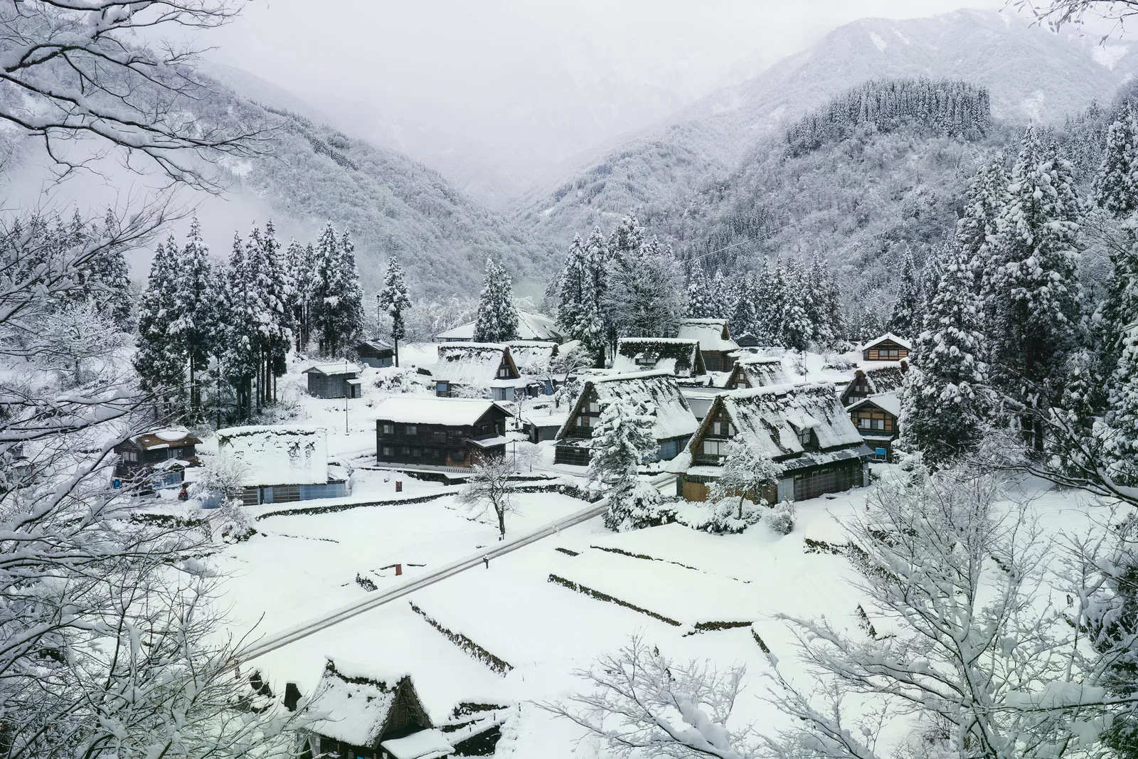 雪景中的相倉合掌屋與村道