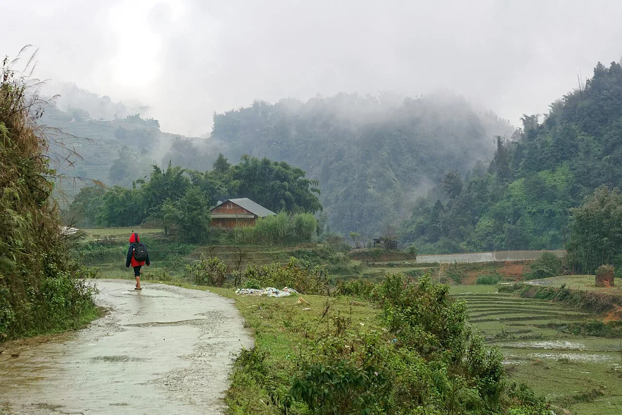Sa Pa Vietnam rice terraces