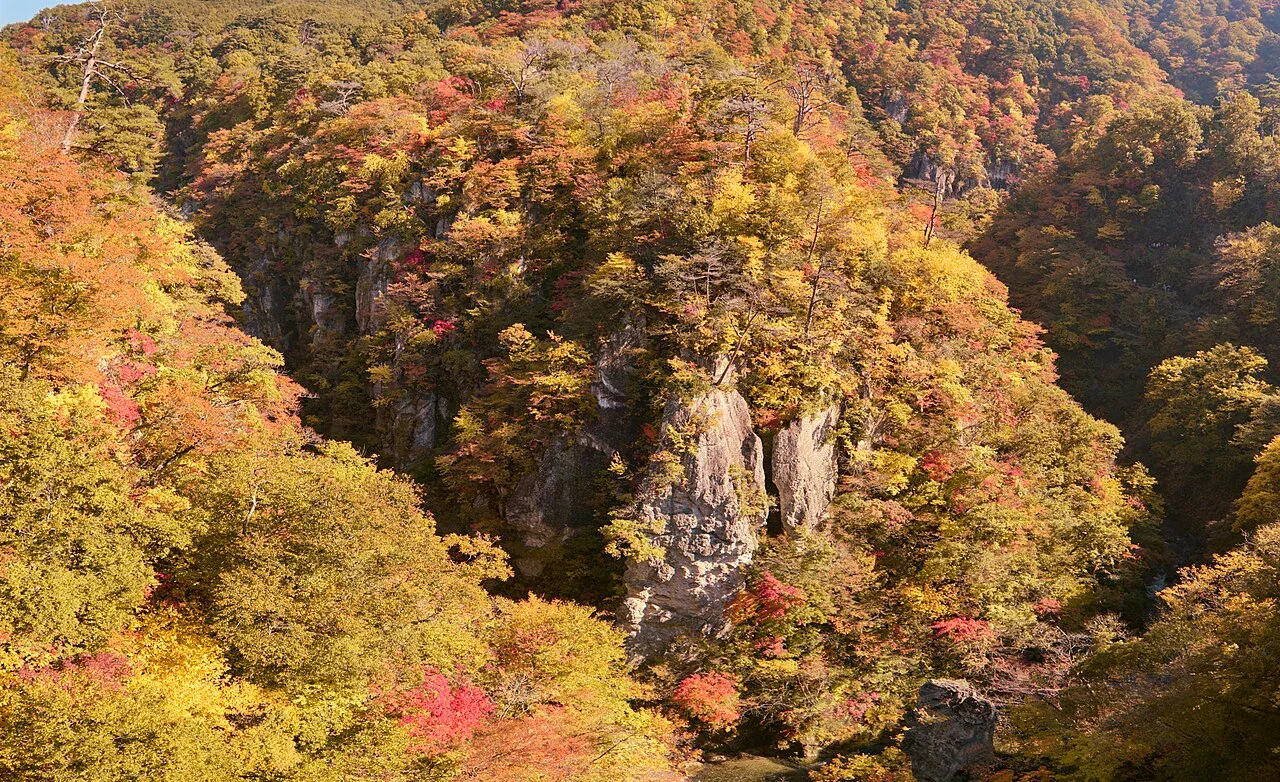 鳴子峡秋季紅葉沿著岩壁與峽谷林地展開