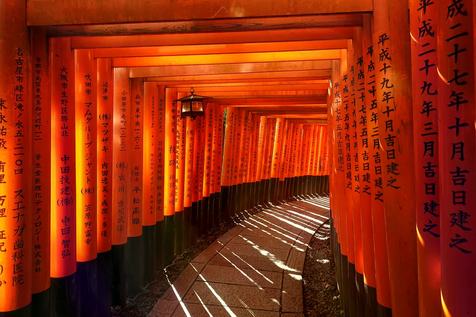 伏見稻荷大社千本鳥居，兩排朱紅鳥居夾出一條石板參道