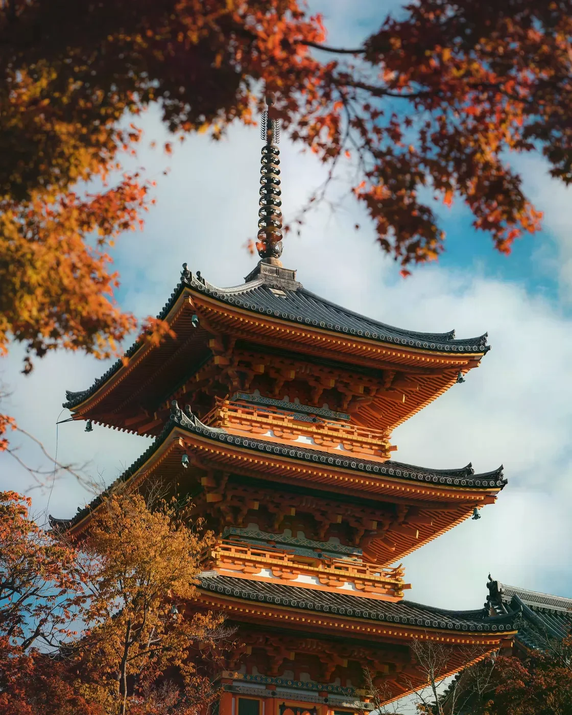 京都秋葉環繞的寺院塔景，呈現寺院建築與紅葉相鄰的情境