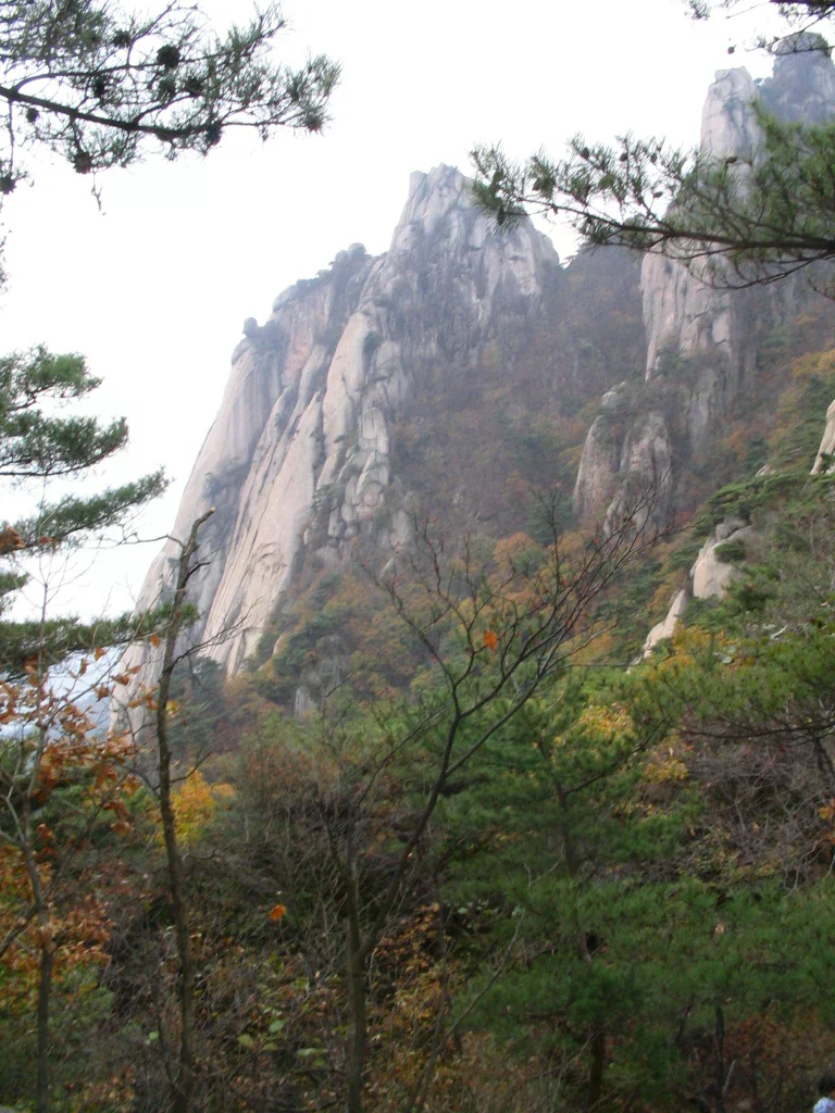 北漢山的岩壁與林木。