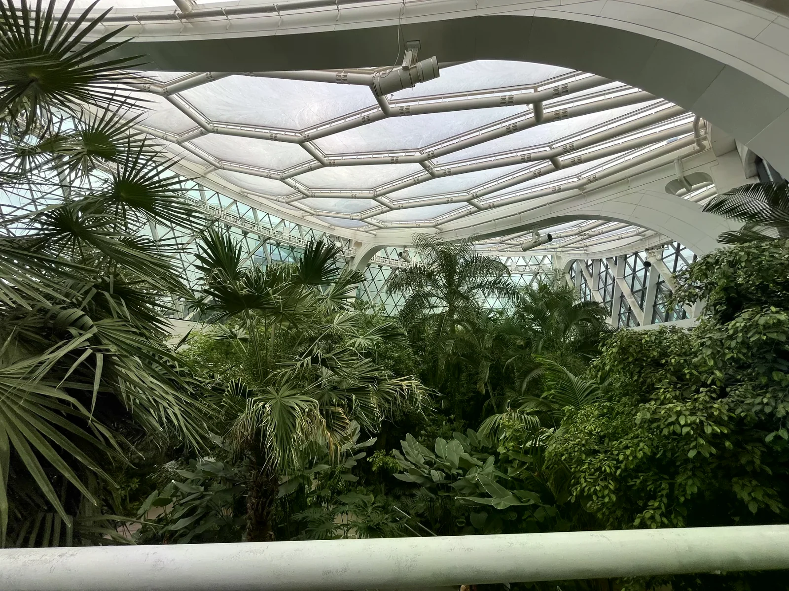 首爾植物園溫室內的高處步道與熱帶植栽，呈現從步道俯瞰植物區的視角