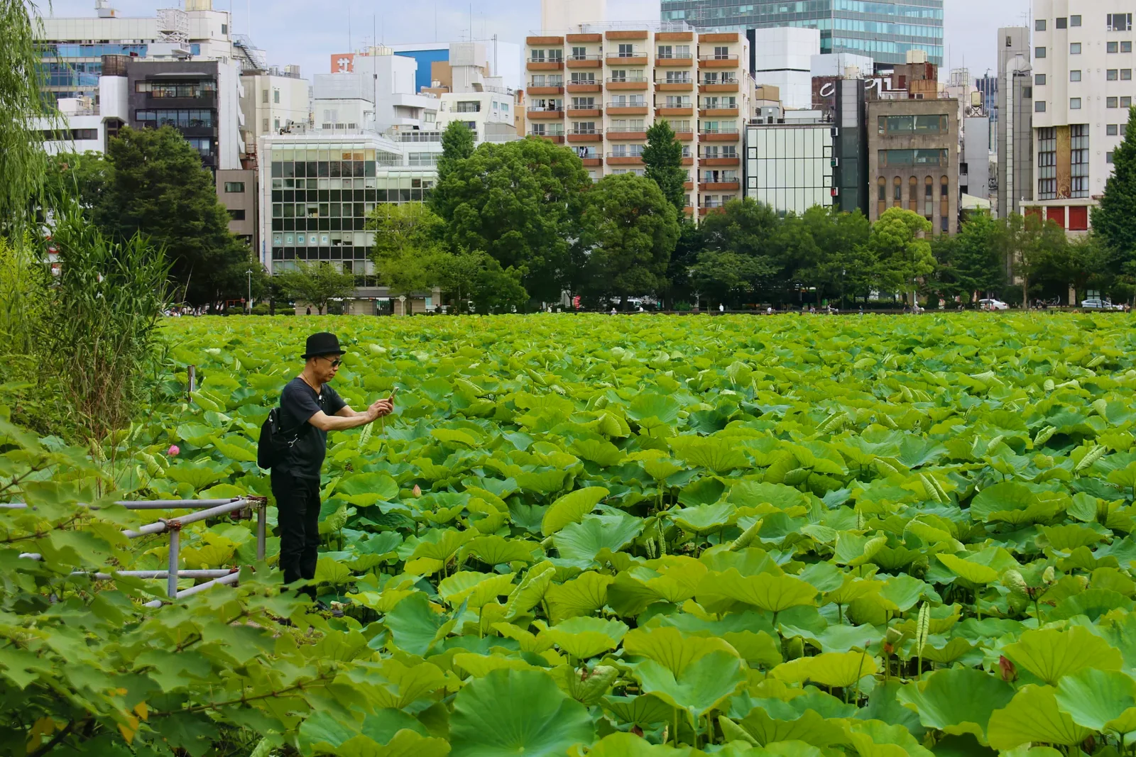 上野公園蓮池前有人拍照，後方可見東京市區建物