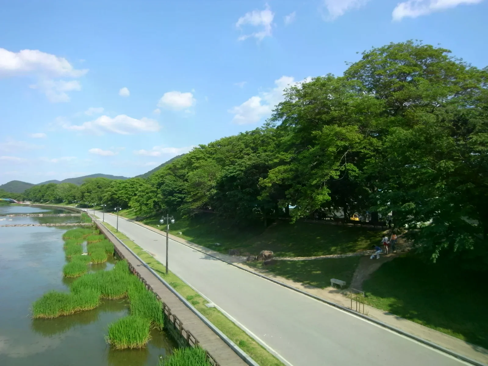 潭陽觀芳堤林沿河岸延伸的林蔭步道與水面