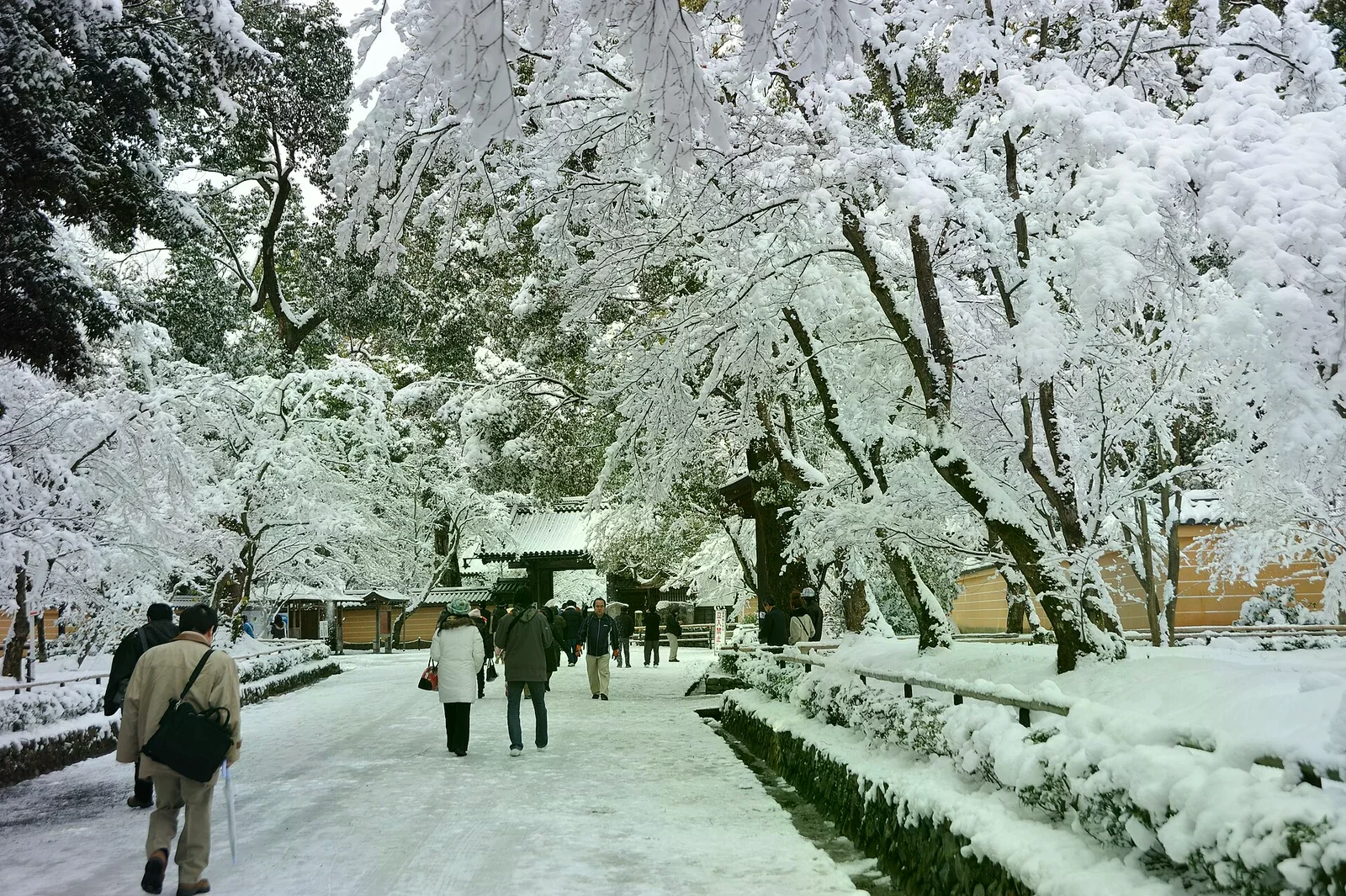 京都積雪的參道，兩旁樹木掛滿白雪，幾位穿大衣的遊客正沿步道往前走。