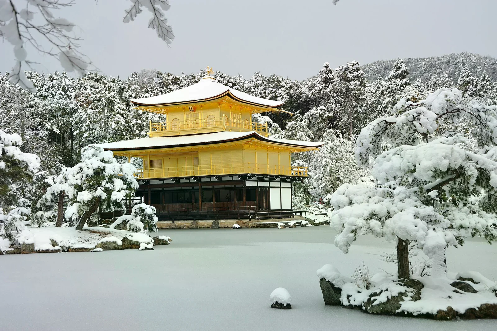 雪後的京都鹿苑寺金閣寺，屋頂與松樹覆雪，前方結凍的鏡湖池一片灰白。
