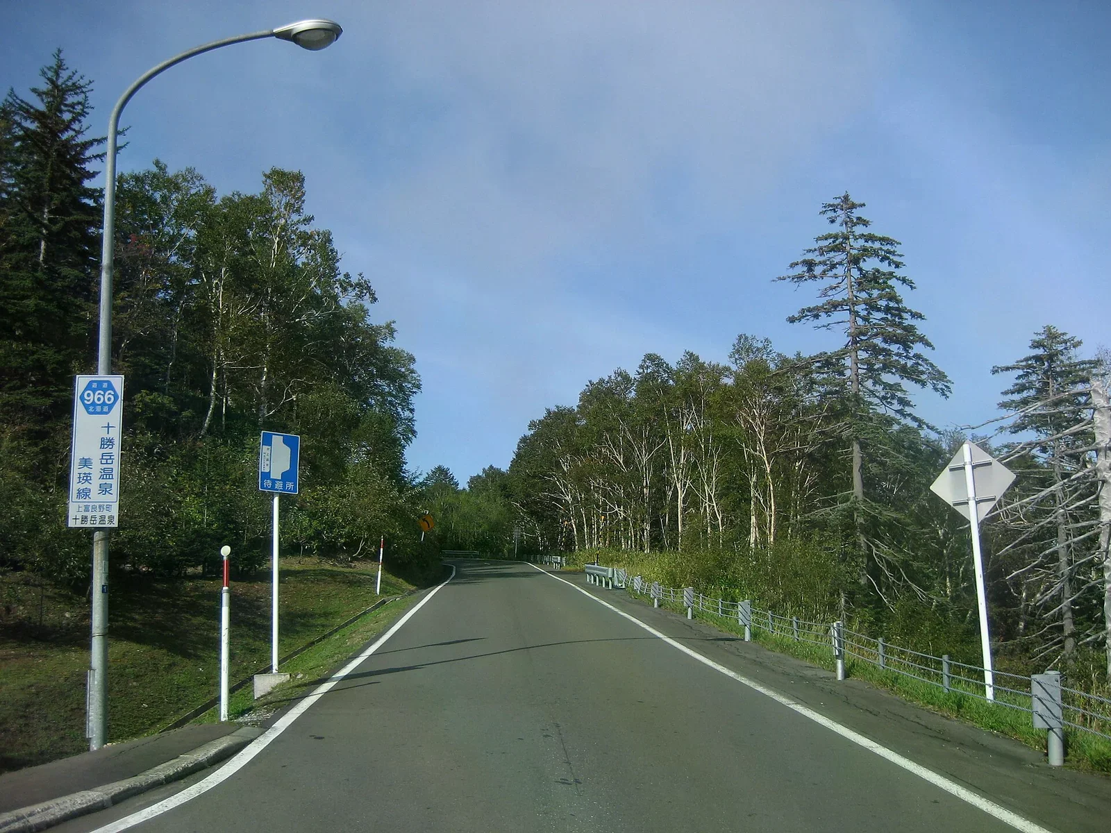 北海道縣道966號的山間道路，路旁立著「十勝岳溫泉 美瑛線」路標與待避所標示，兩旁是針葉林