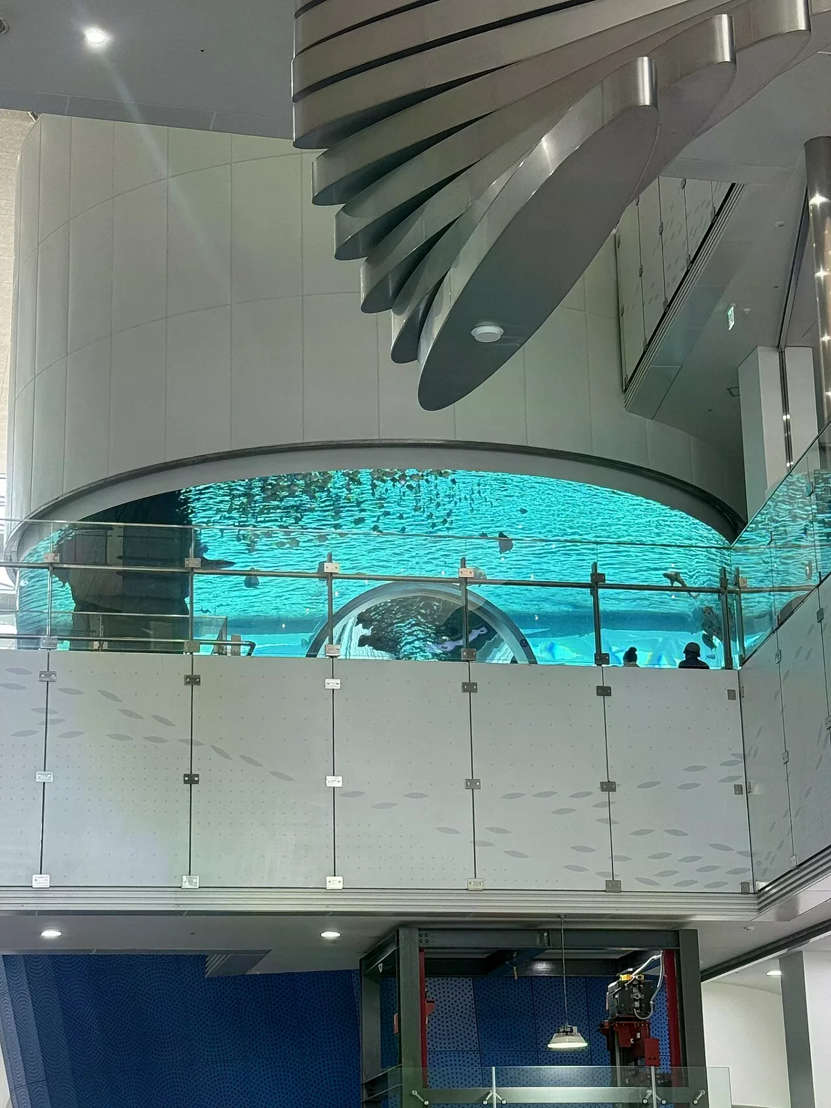 釜山國立海洋博物館的水族展示空間