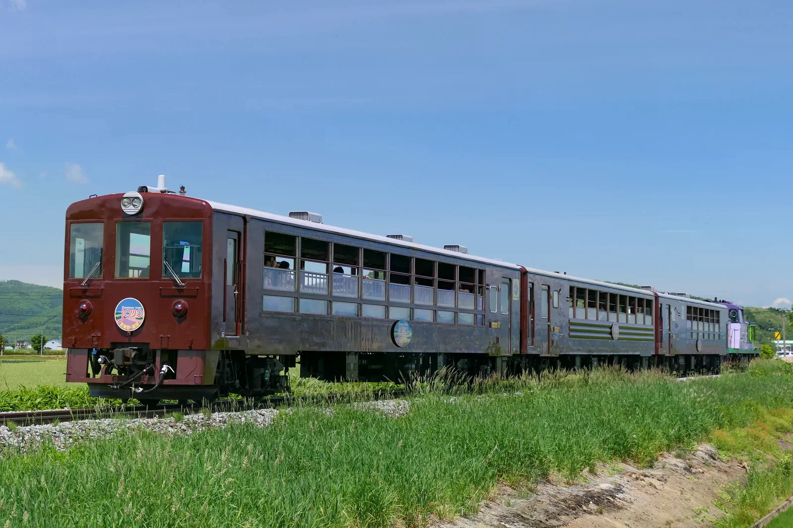 富良野美瑛 Norokko 號觀光列車在鄉間鐵道旁行駛