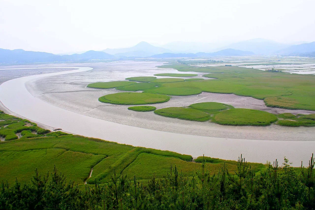 從高處俯瞰順天灣濕地的潮汐水道、濕地草地與遠處山線