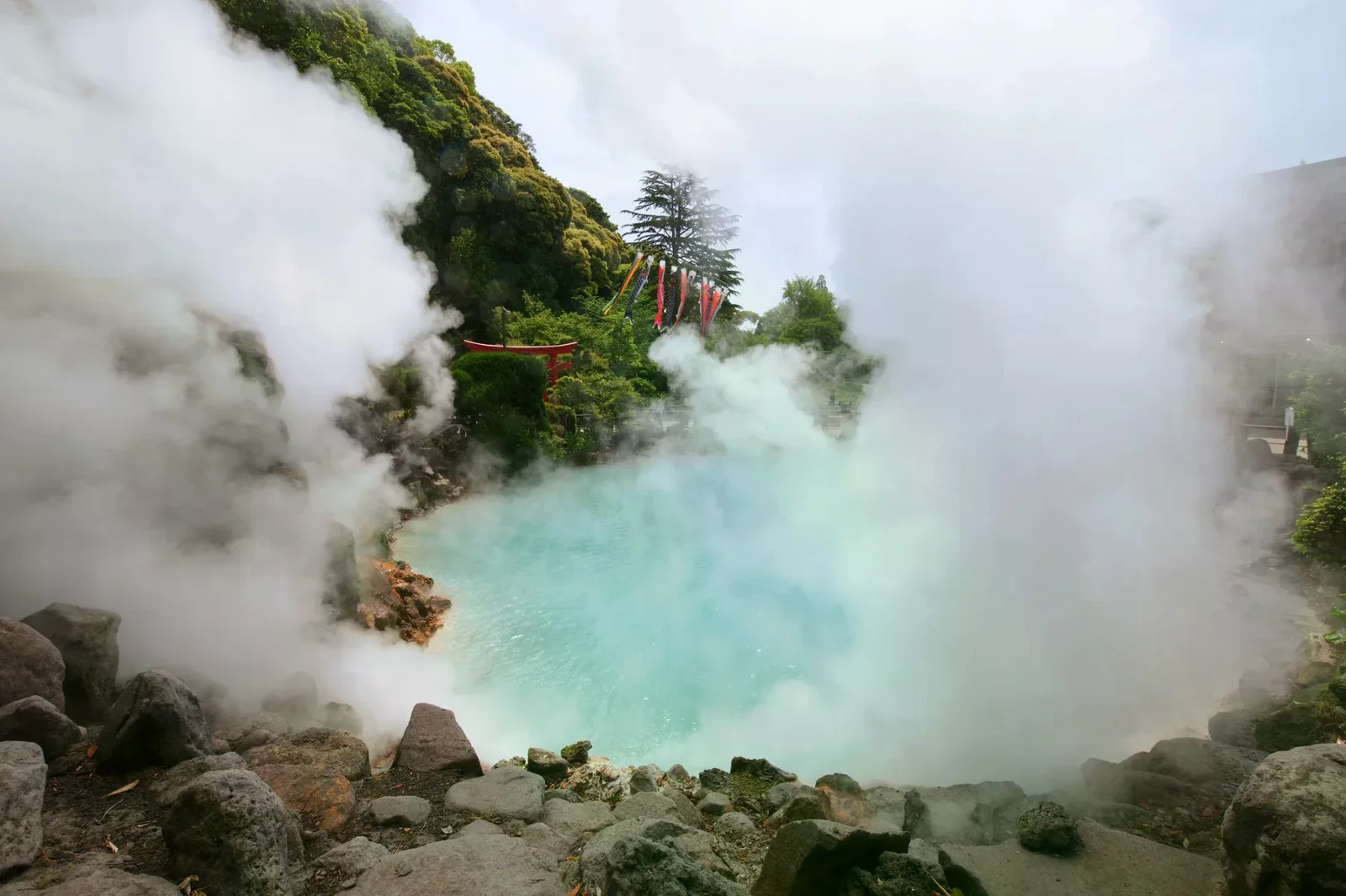 別府溫泉地區蒸氣從熱泉池中升起的景象