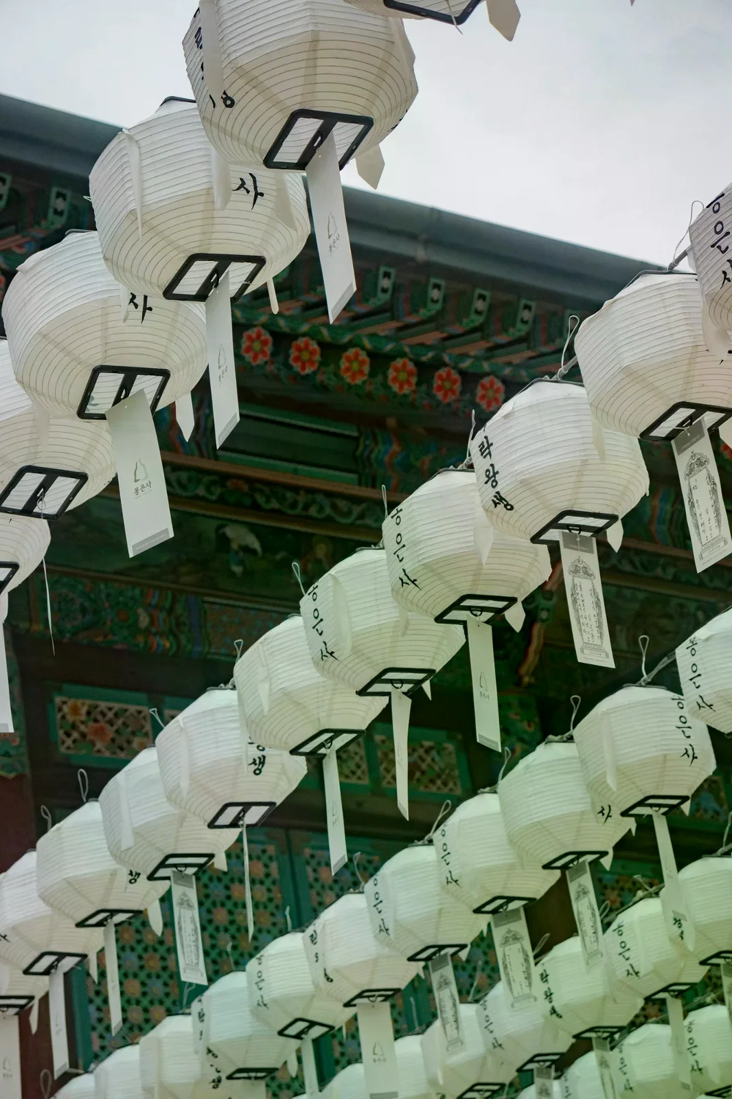 首爾寺院屋簷下排列的白色韓文字紙燈籠