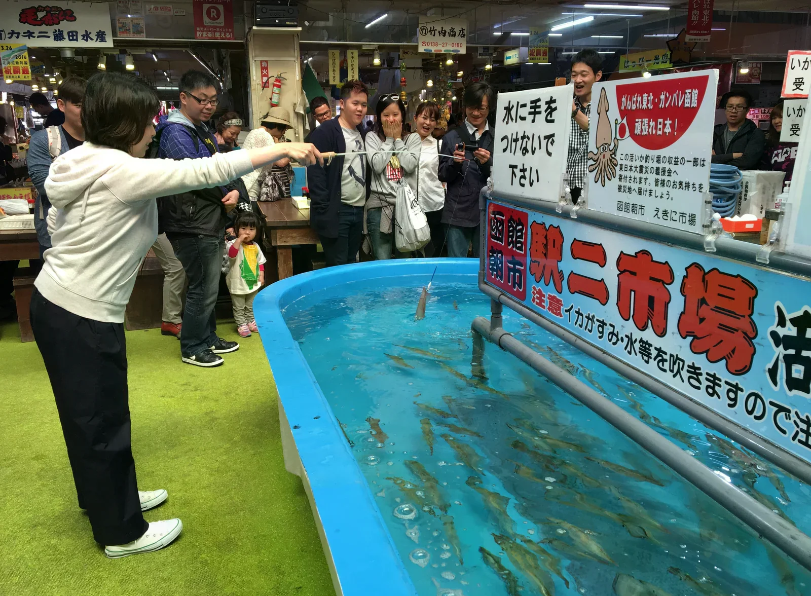 遊客圍在水槽旁觀看有人釣起魷魚