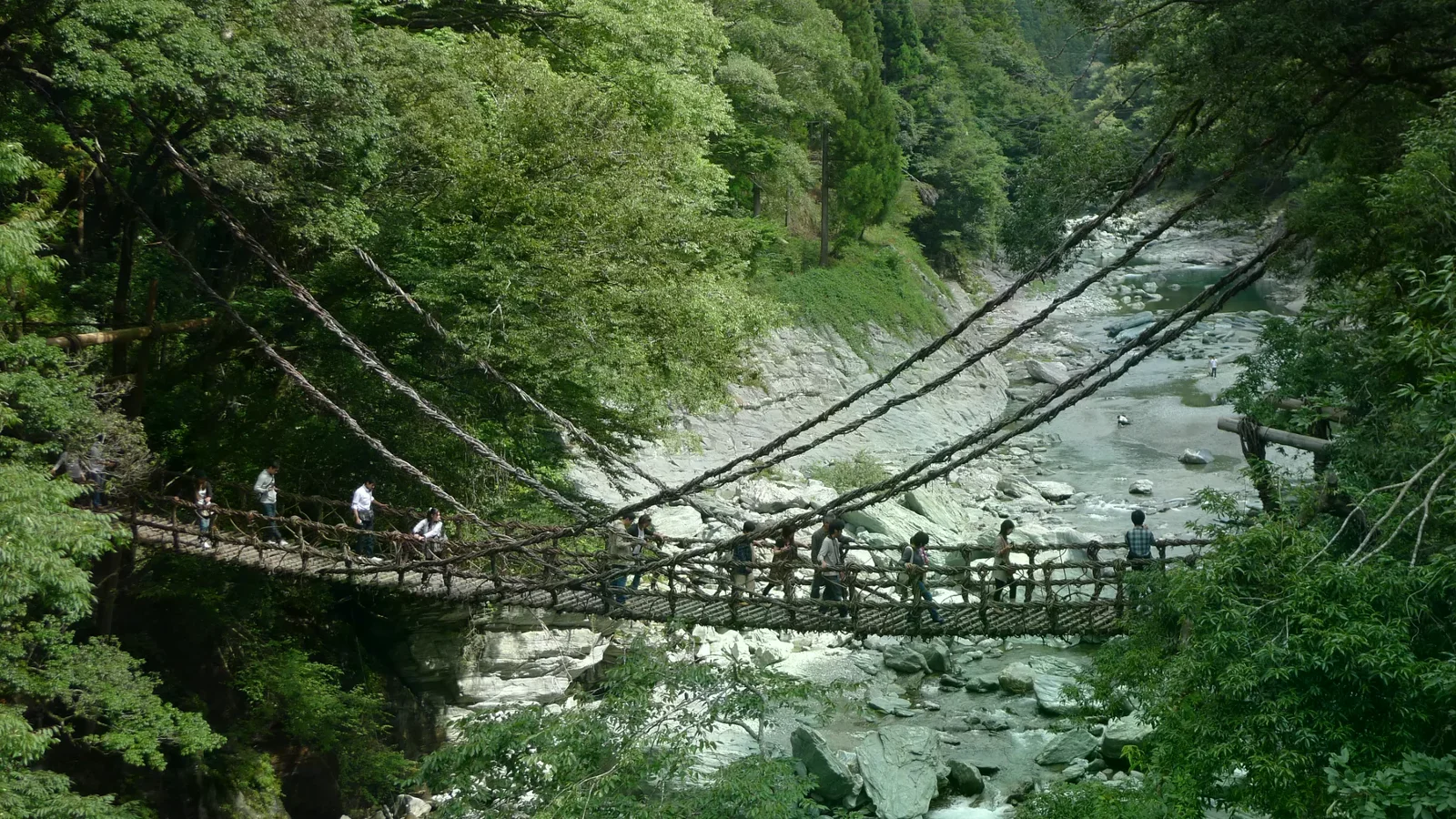 藤蔓吊橋跨越溪谷，橋面有可見空隙