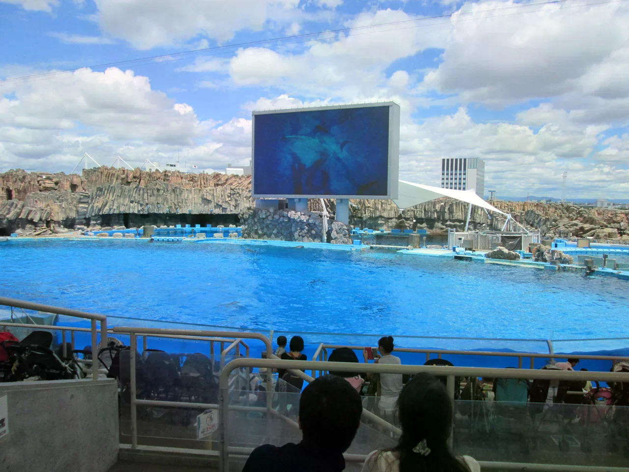 名古屋港水族館的海豚表演池與觀眾席。