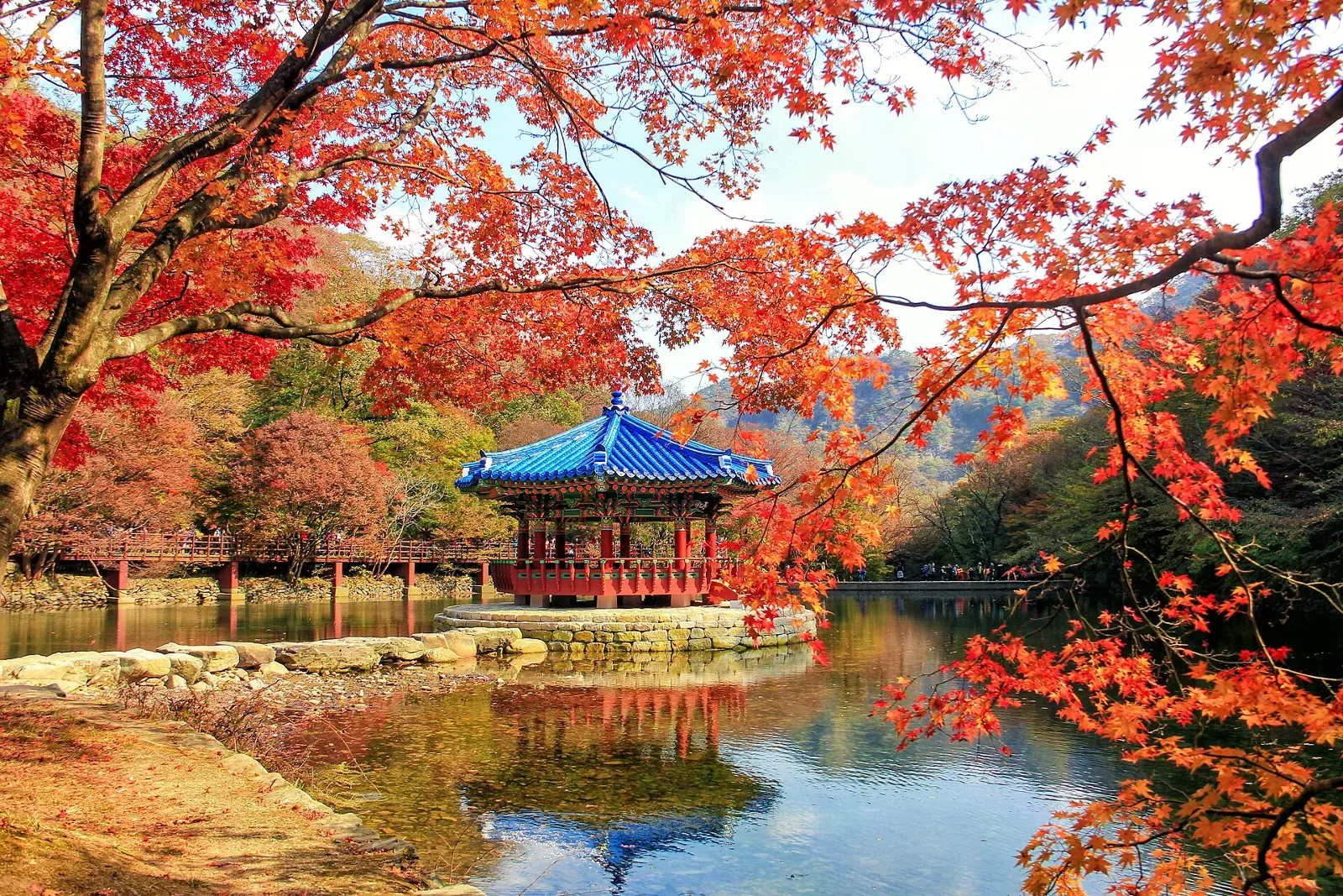 內藏山池畔軒亭被紅色楓葉圍繞，池水映出秋色