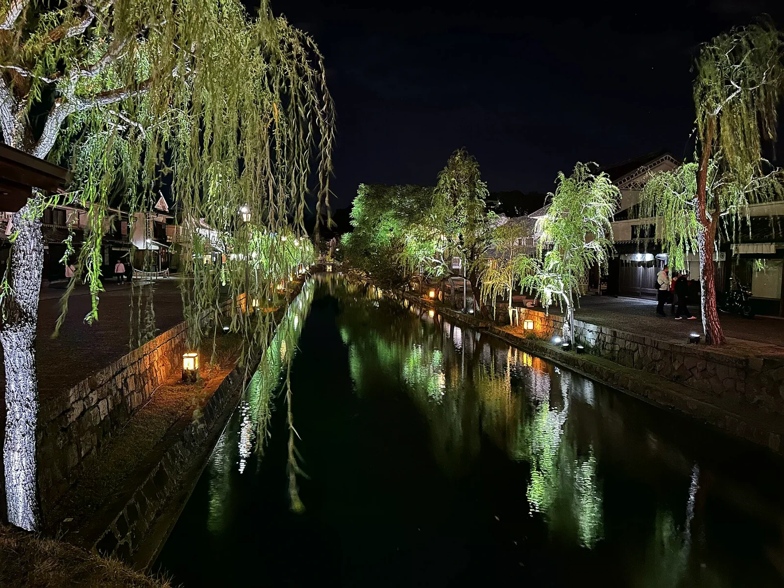 夜間的倉敷川映著兩岸燈光，柳樹垂向河面（2024 年照片）