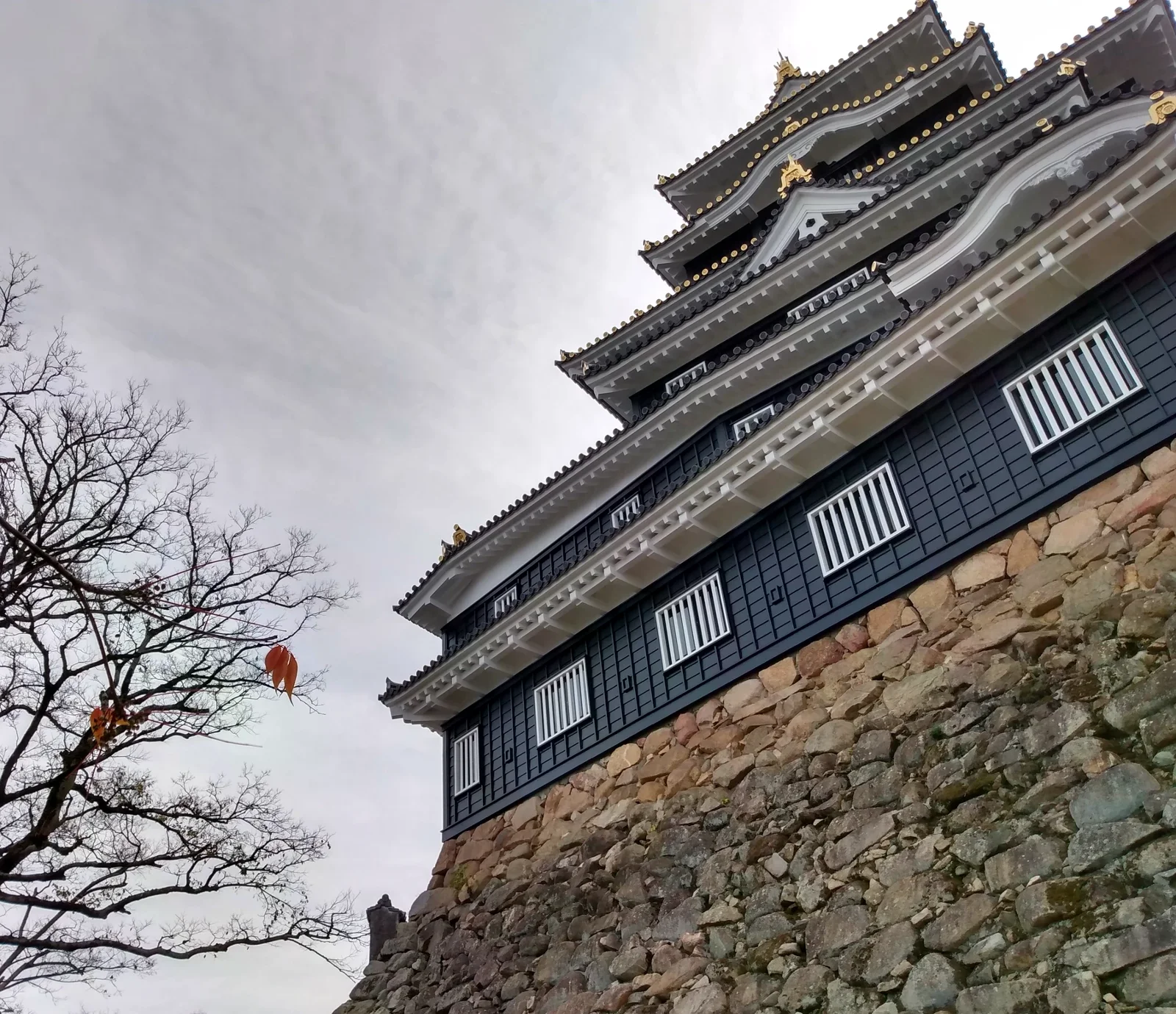 岡山城天守的黑色外牆與白色屋簷從石垣旁向上延伸（2023 年照片）