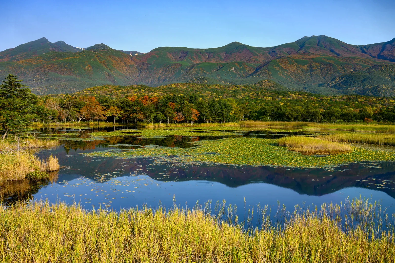 樹林前的湖面映出山景，岸邊有秋色植被