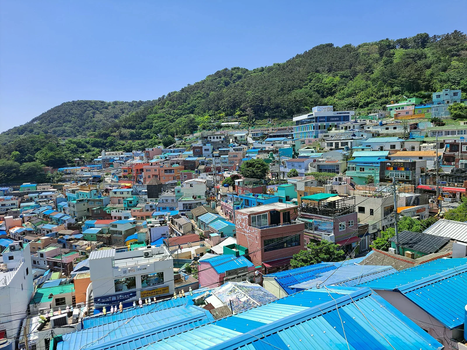 甘川文化村沿山坡展開的彩色屋群