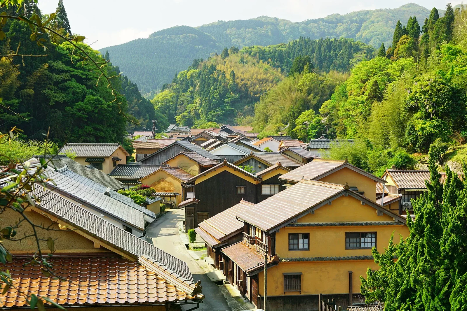 從高處俯瞰大森町並的屋頂、聚落與周圍山林