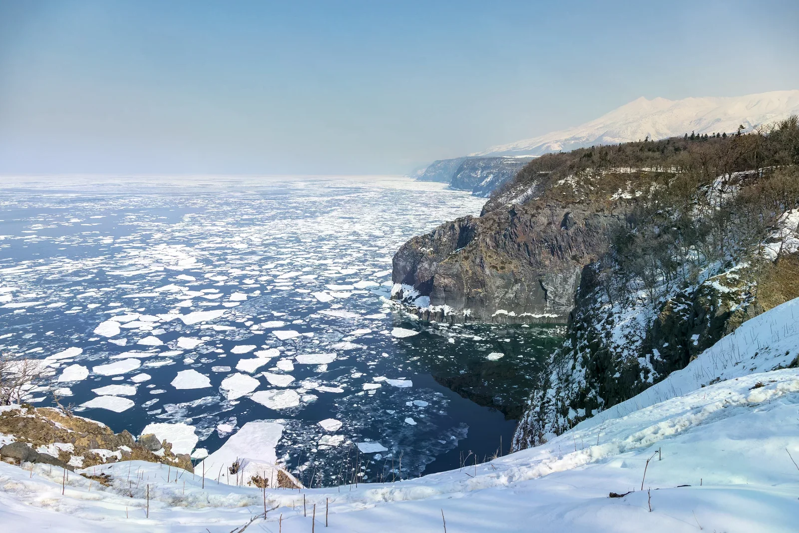 浮冰覆在海面，雪覆岩岸與遠方山脈沿海岸延伸