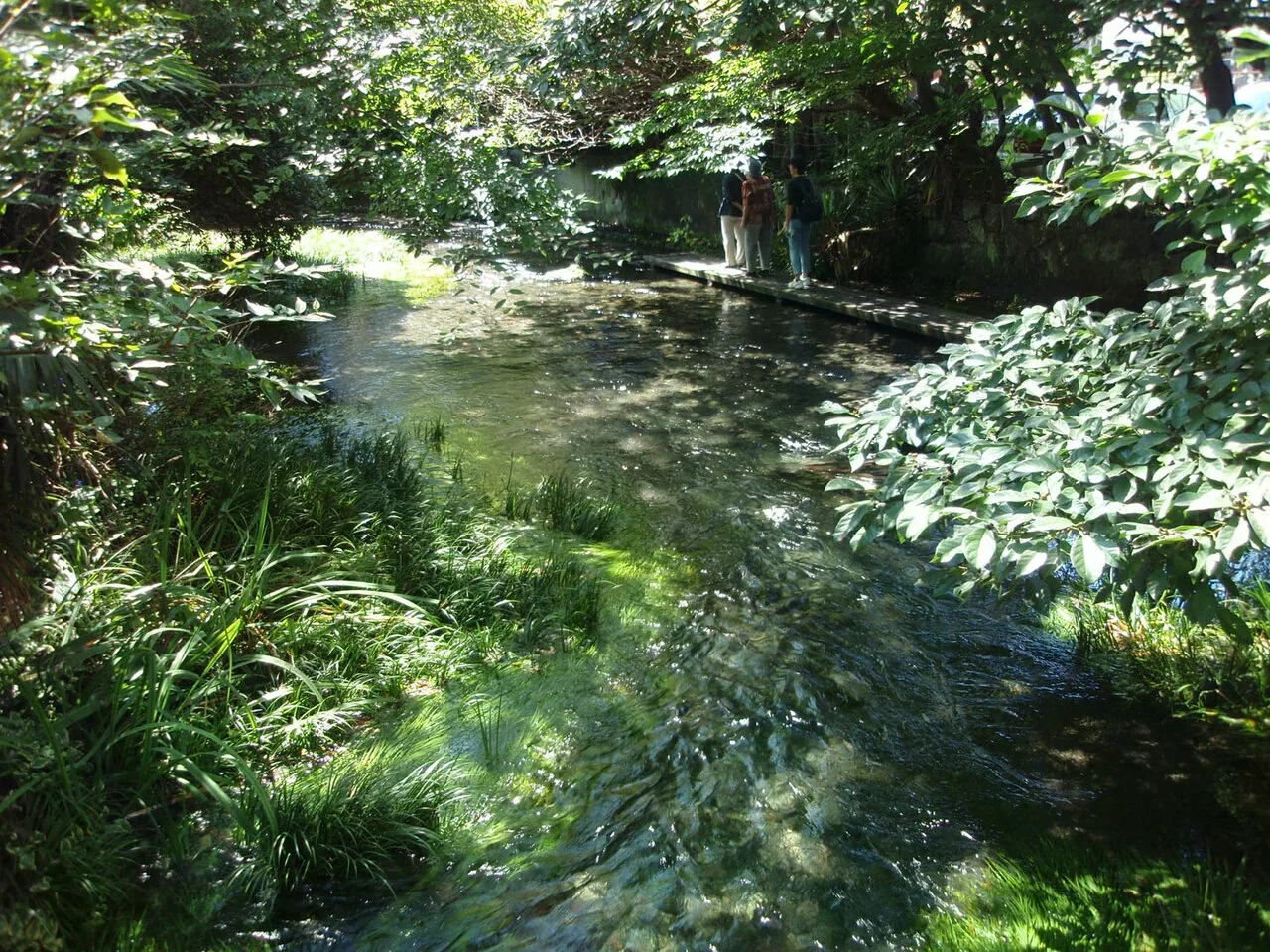 樹蔭下的源兵衛川淺流與沿岸步道，2011年照片