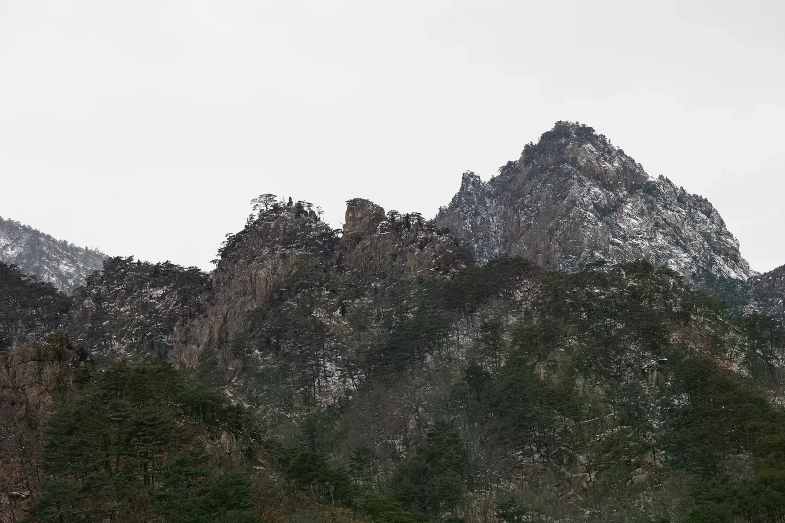 雪嶽山冬季岩峰與覆雪山林，天空陰白