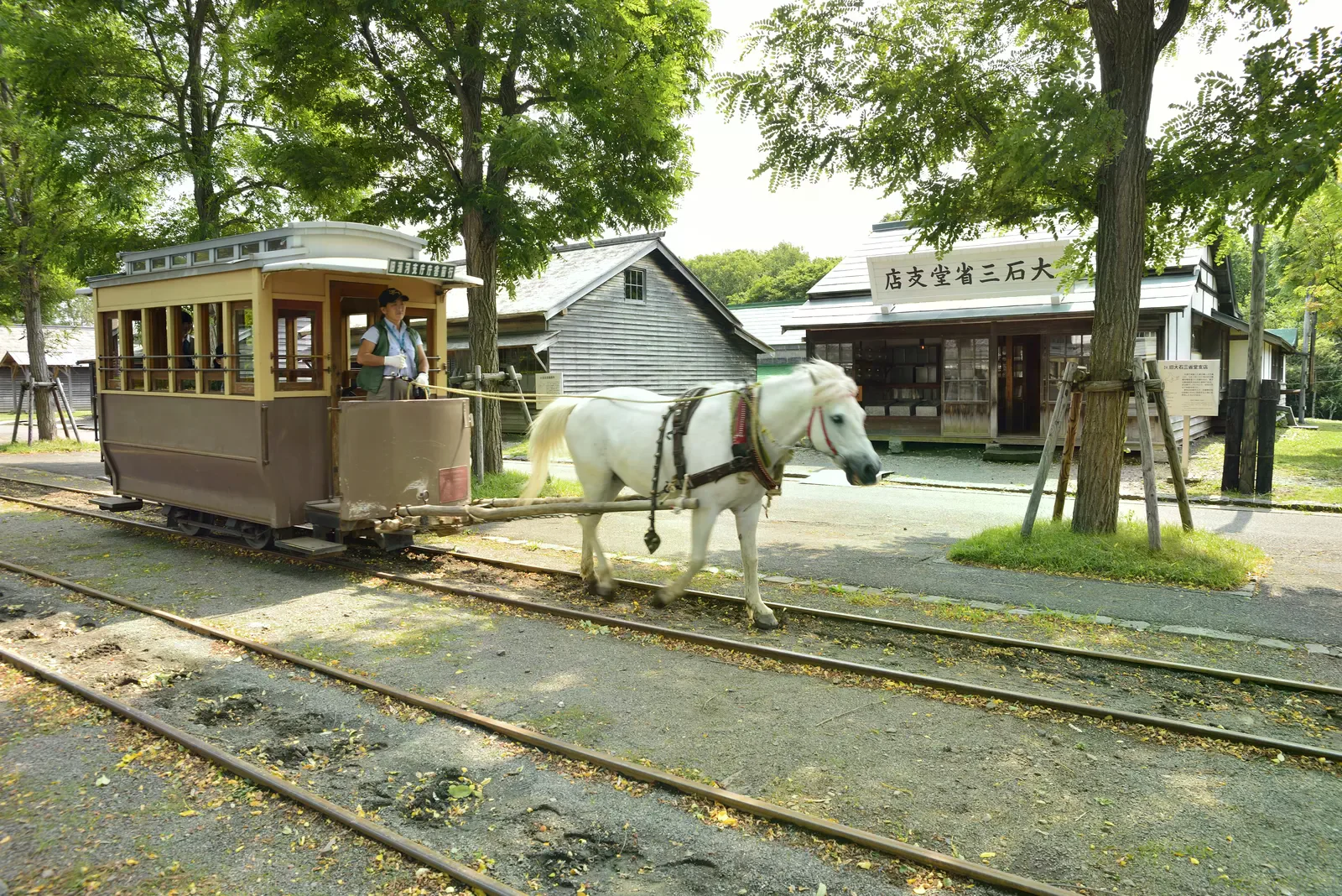 北海道開拓の村園內白馬牽引馬車鐵道，背景可見木造街景