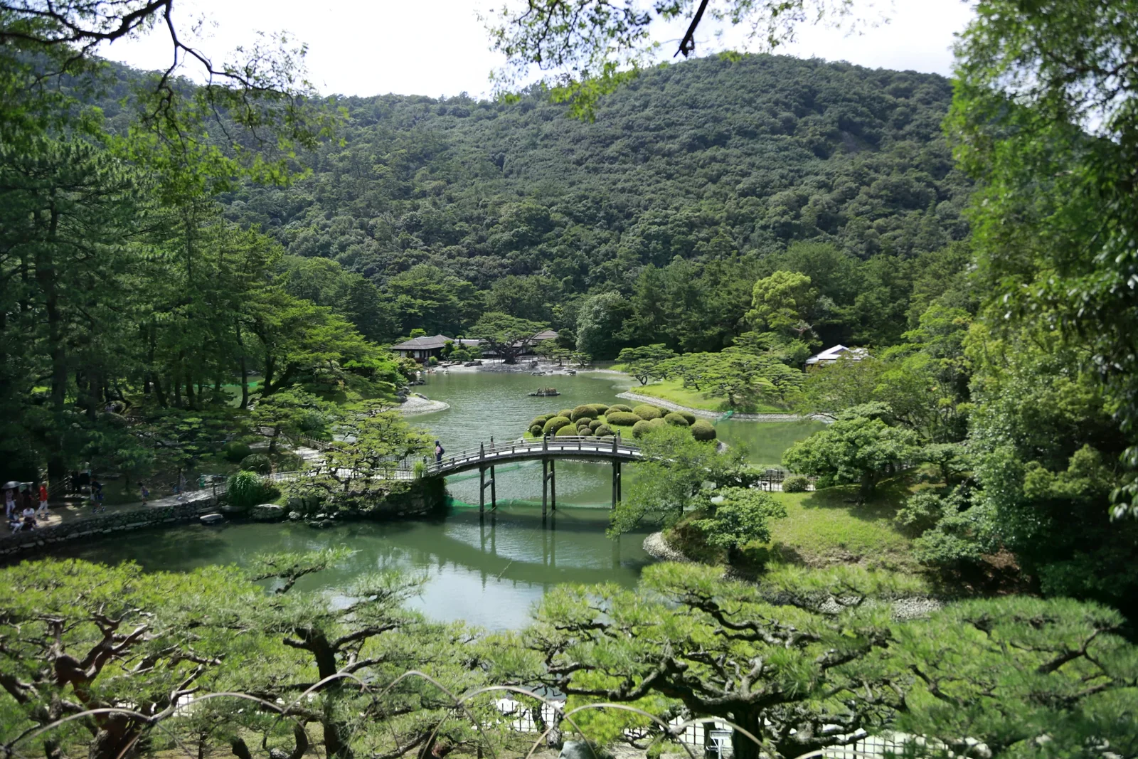 栗林公園池塘、曲橋與修剪整齊的松樹。