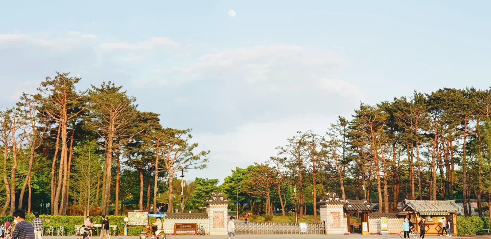 韓巴樹木園東園入口與林木