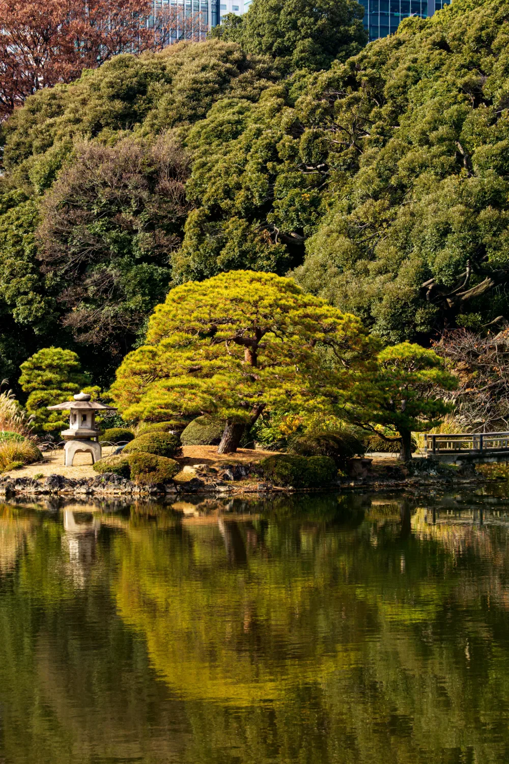 新宿御苑池塘倒映樹木，岸邊可見庭園植栽與石燈籠